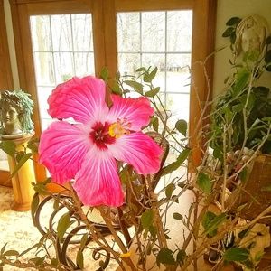 Meet your Posher, Luke